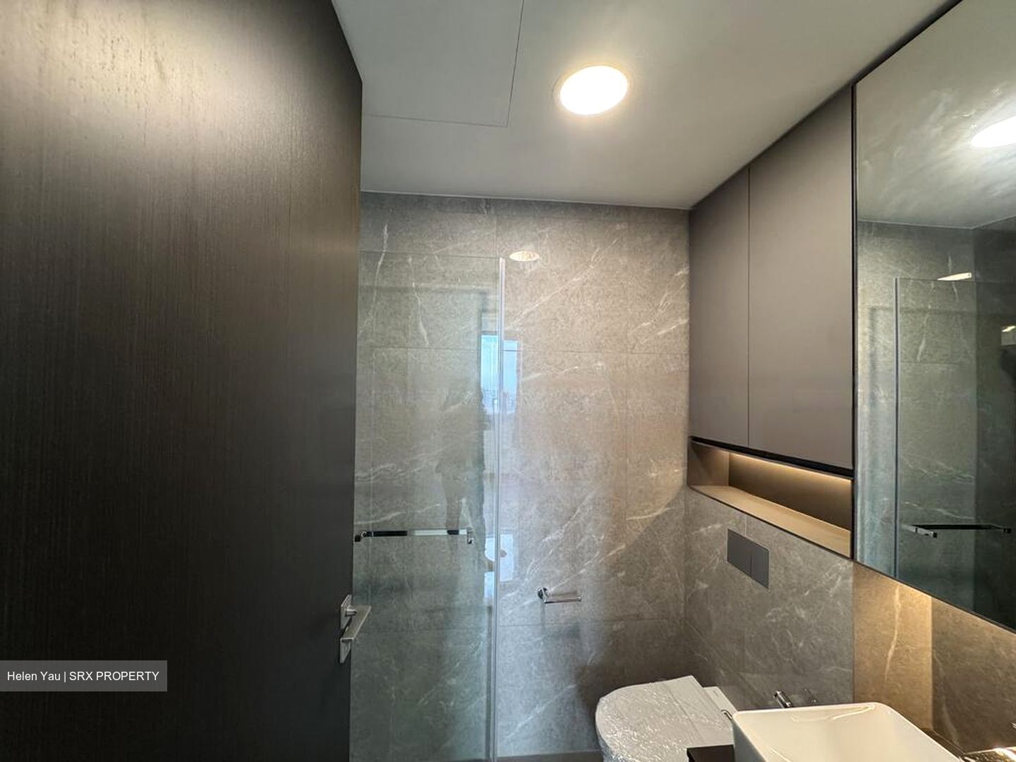 Irwell Hill Residences (D9), Apartment #461456511